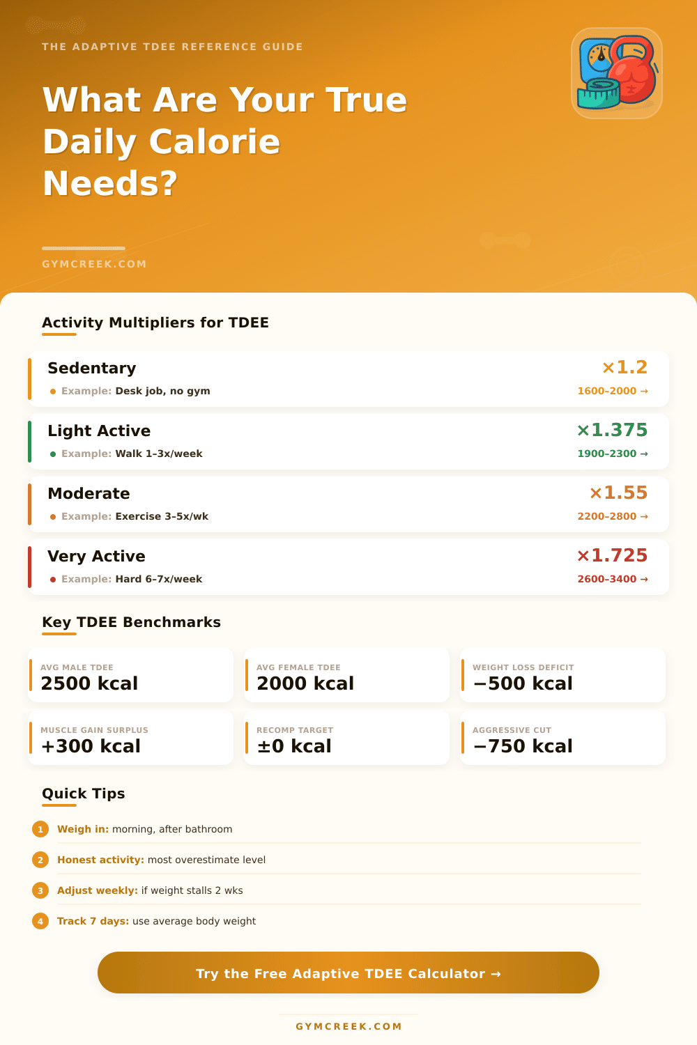 Adaptive TDEE Calculator: Find Your True Daily Calories