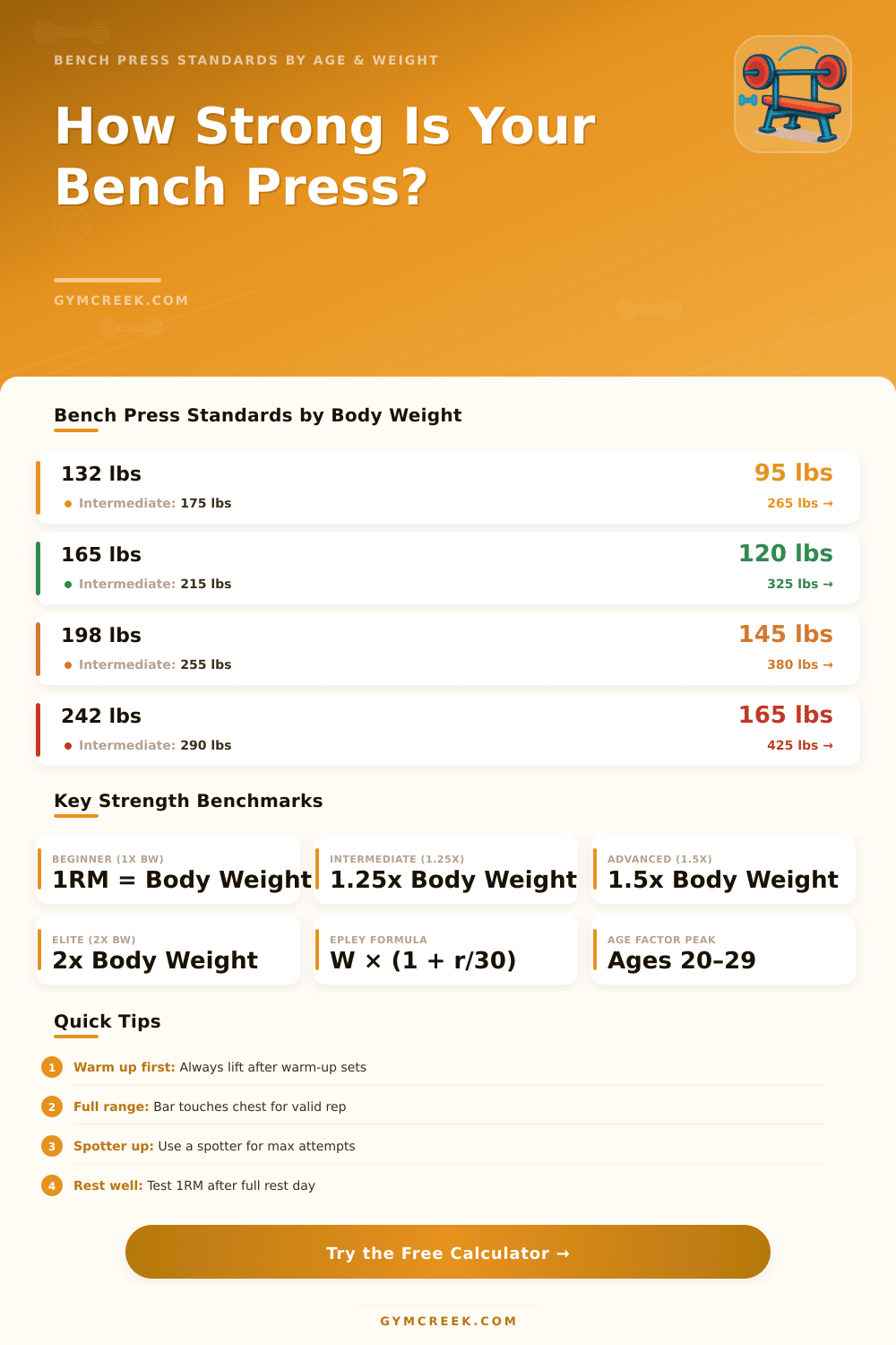 Bench Press Calculator by Age & Weight: Find Your Standard