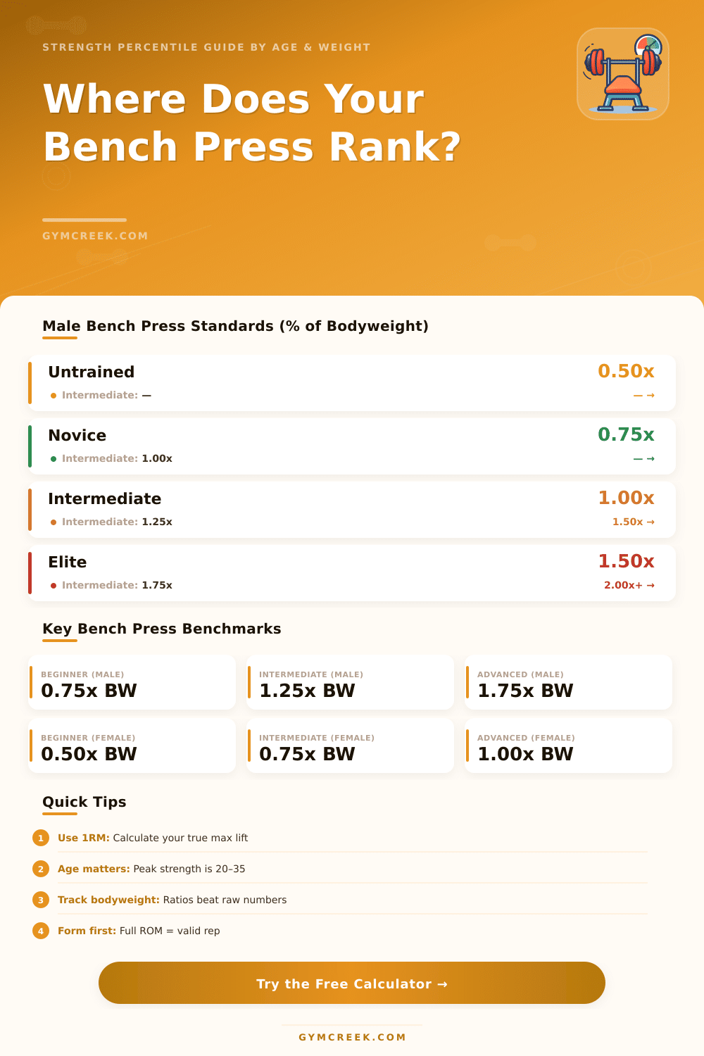 Bench Press Percentile Calculator: Where Do You Rank?