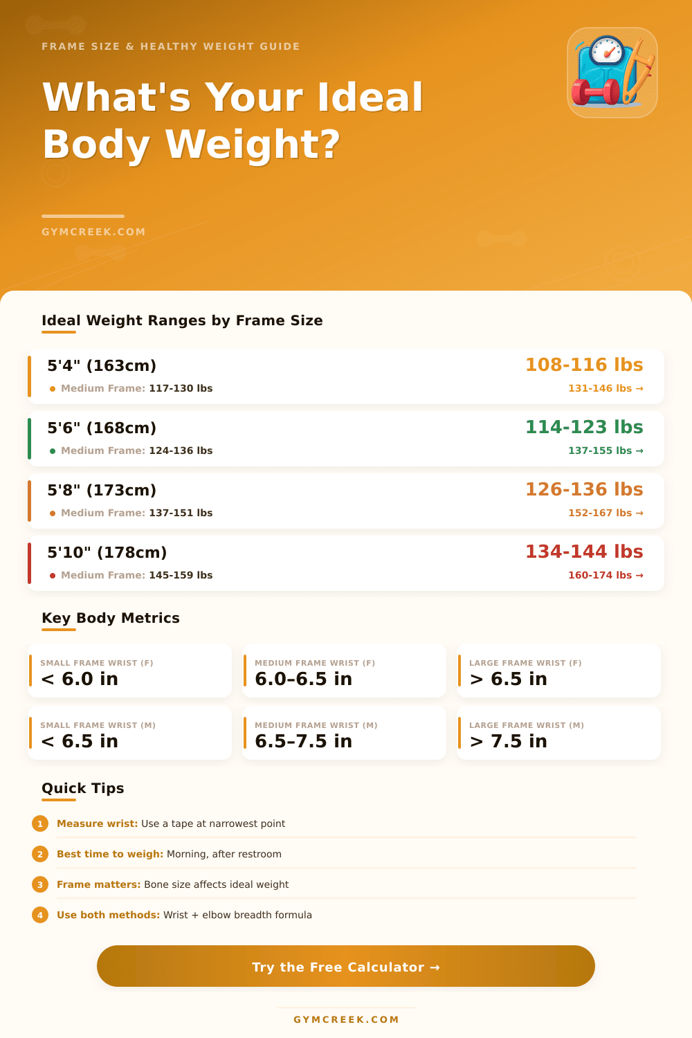 Body Frame Size & Ideal Weight Calculator: Find Your Healthy Range