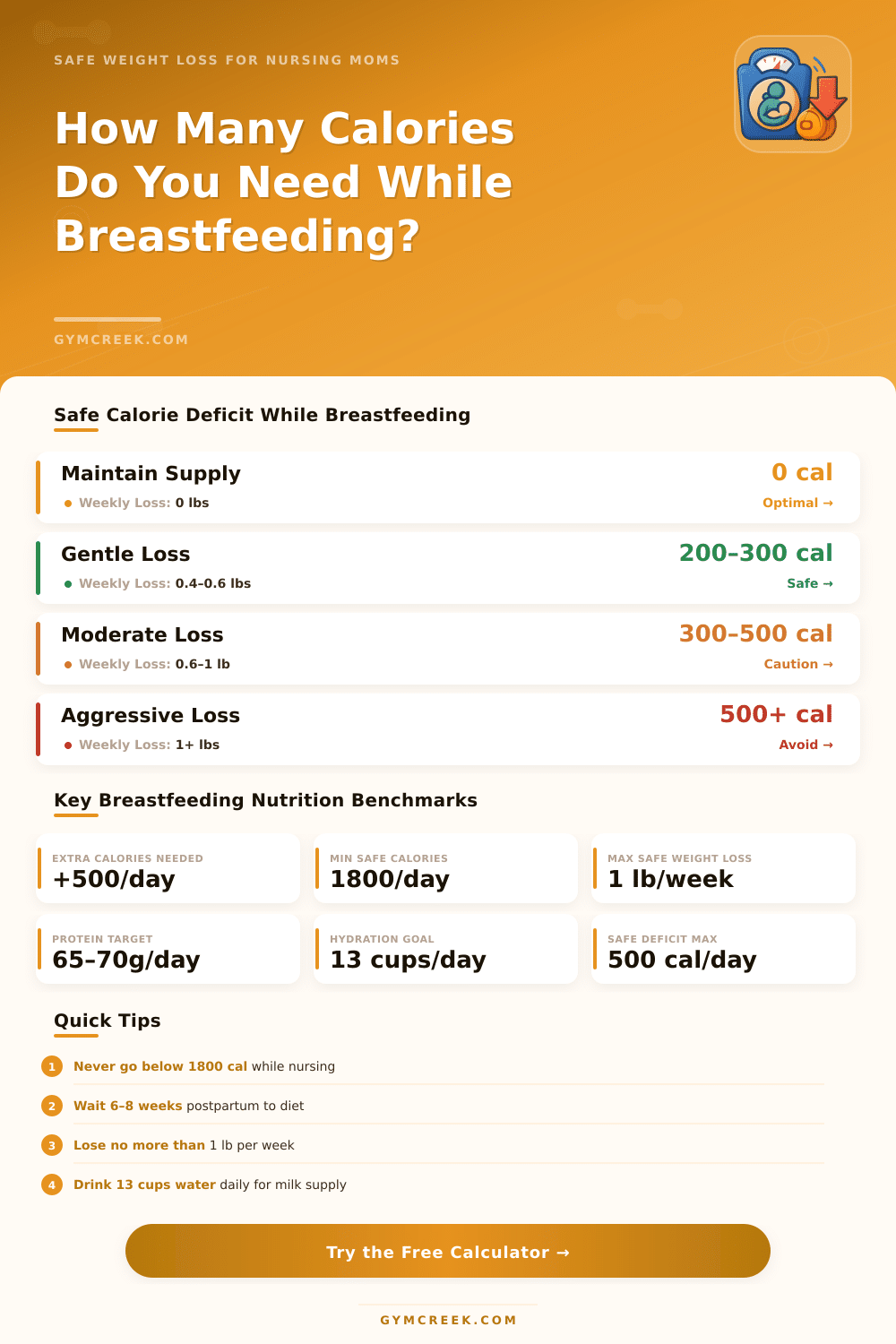 Breastfeeding Calorie Deficit Calculator: Safe Weight Loss