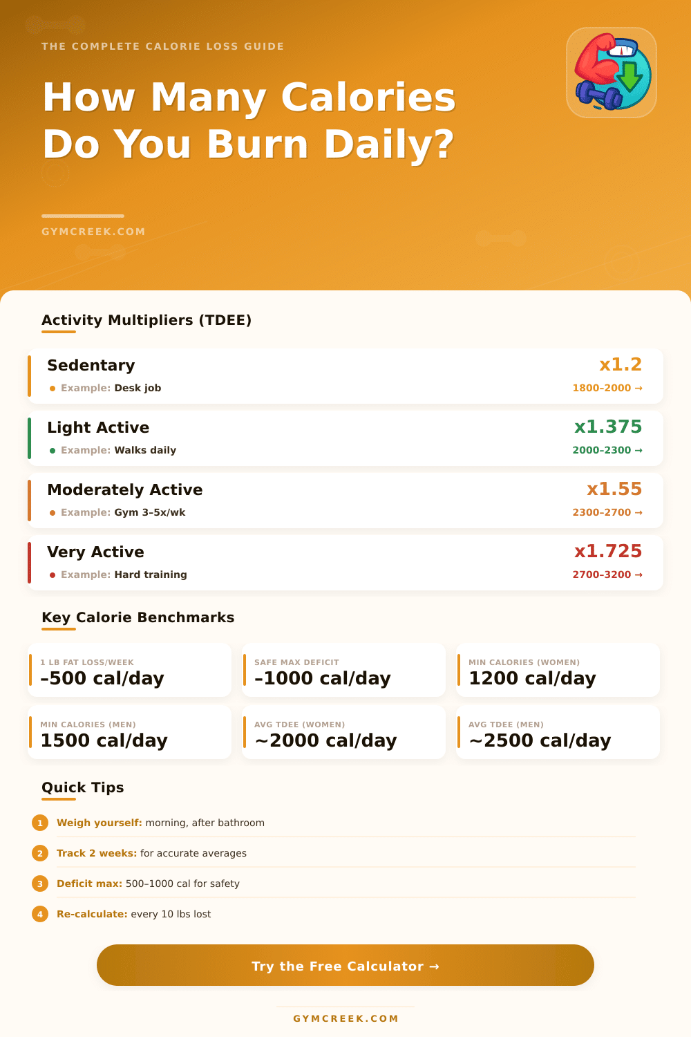 Calorie Loss Calculator: Find Your Daily Burn Rate