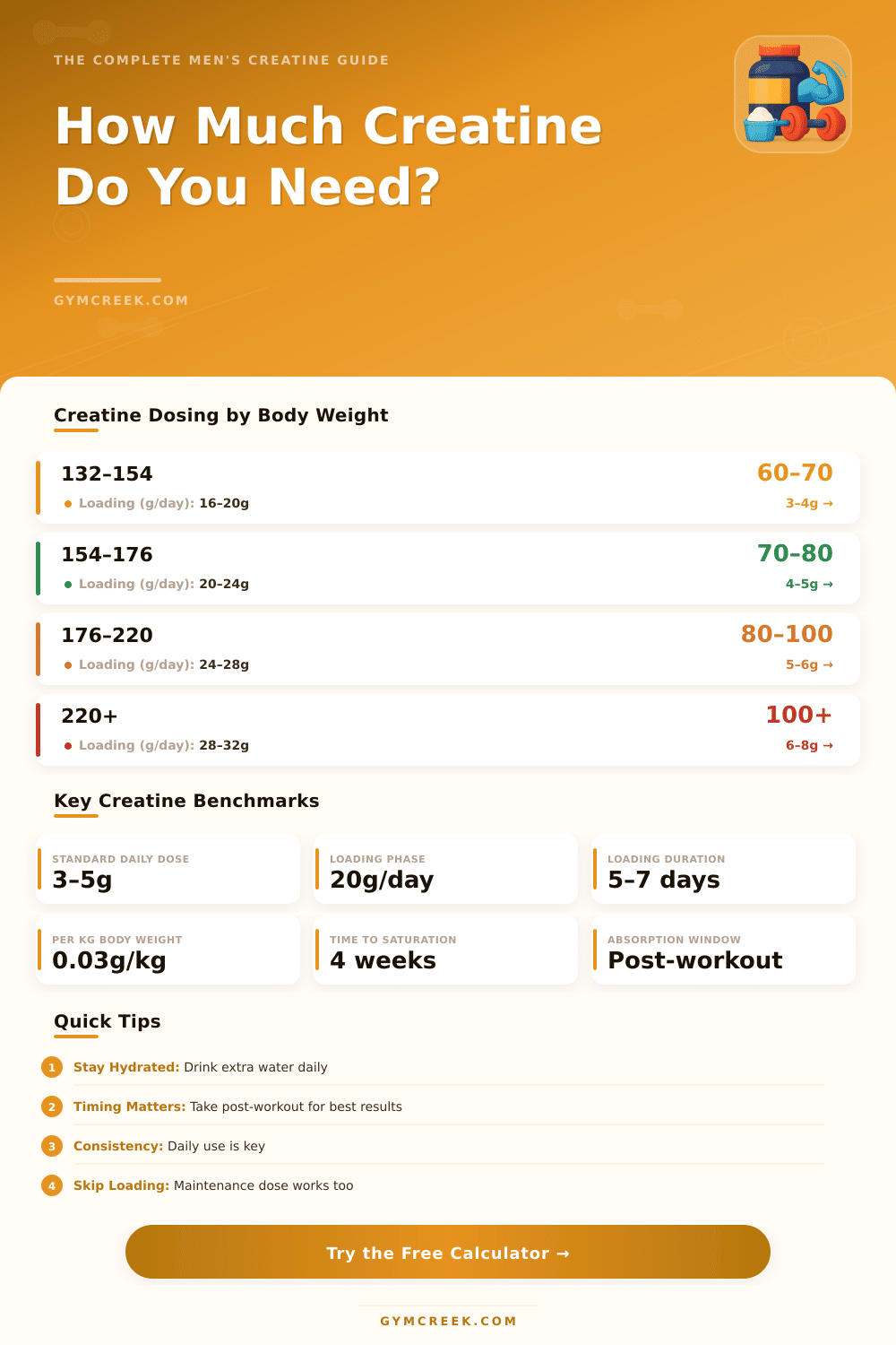Creatine Calculator for Men: Find Your Ideal Daily Dose