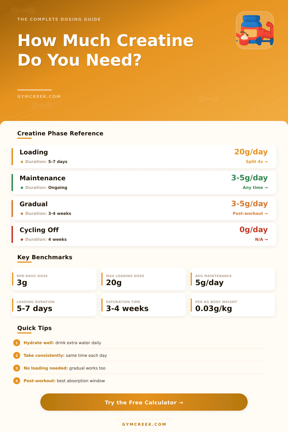 Creatine Dose Calculator: Find Your Ideal Daily Amount