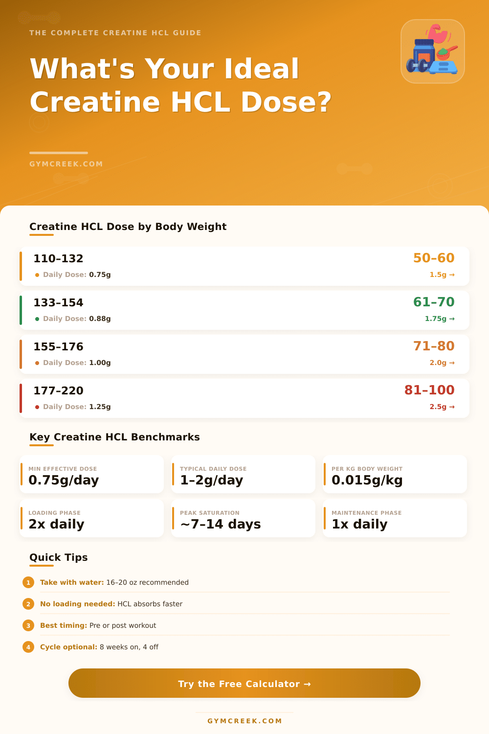 Creatine HCL Dosage Calculator: Find Your Ideal Daily Dose