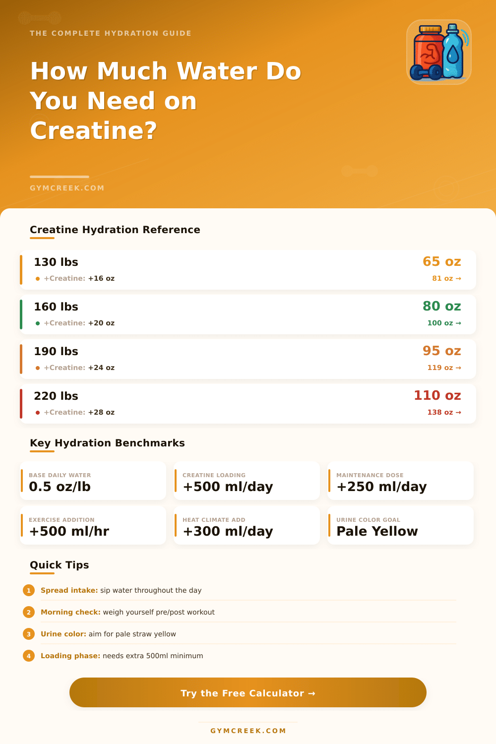 Creatine Hydration Calculator: Find Your Daily Water Needs