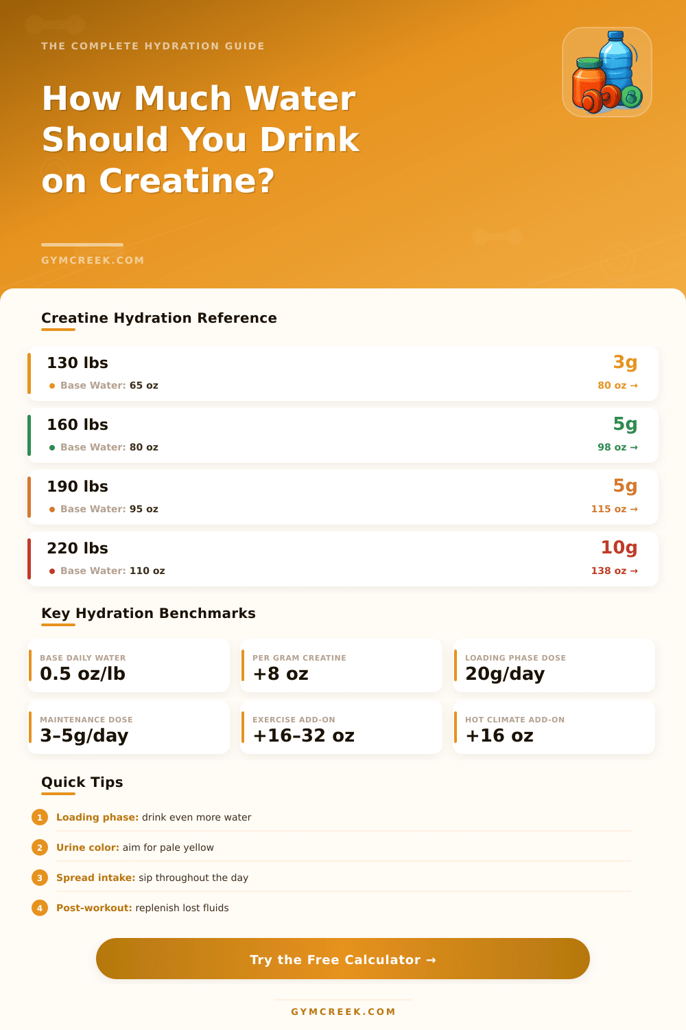 Creatine Water Intake Calculator: Stay Properly Hydrated