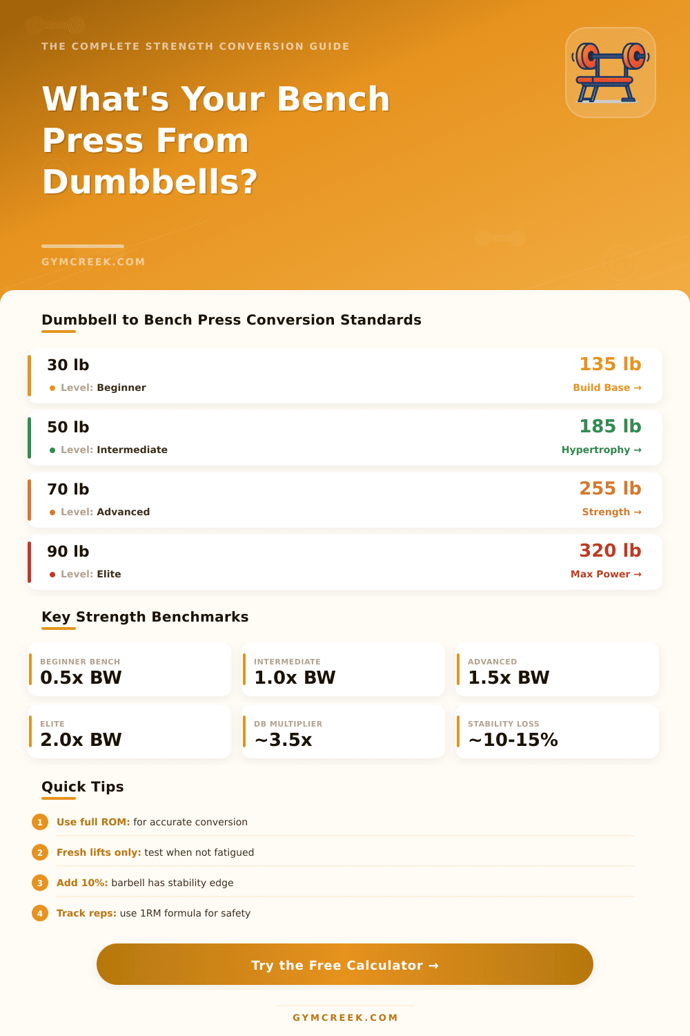 Dumbbell to Bench Press Calculator: Convert Your Strength