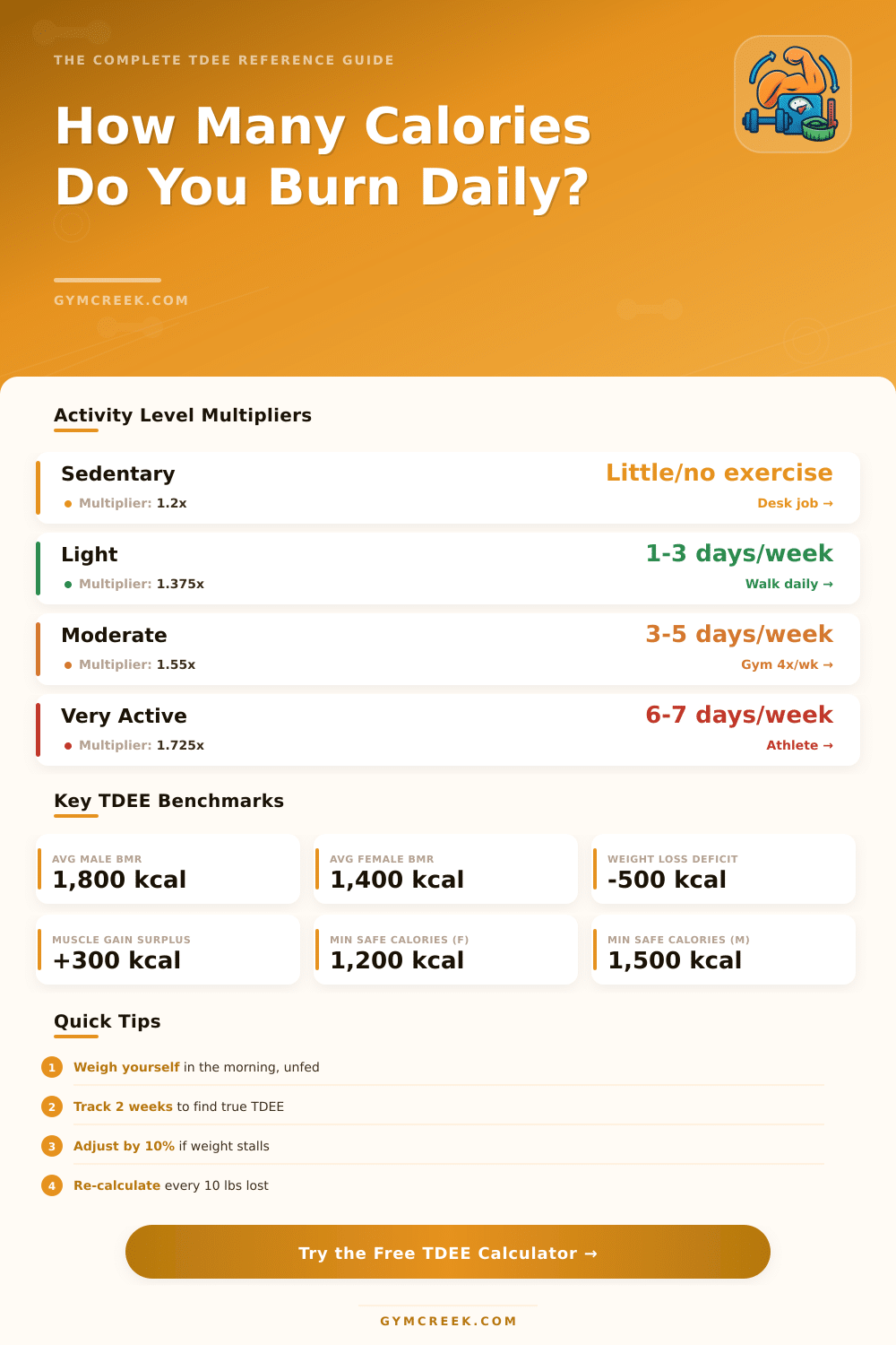 Harris-Benedict TDEE Calculator: Find Your Daily Calorie Needs