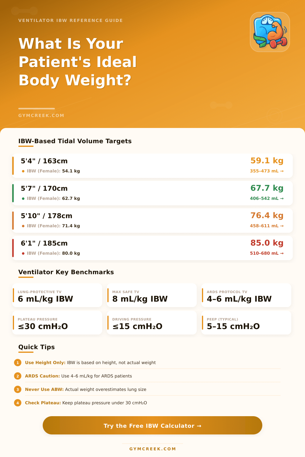 Ideal Body Weight Calculator for Ventilator Settings