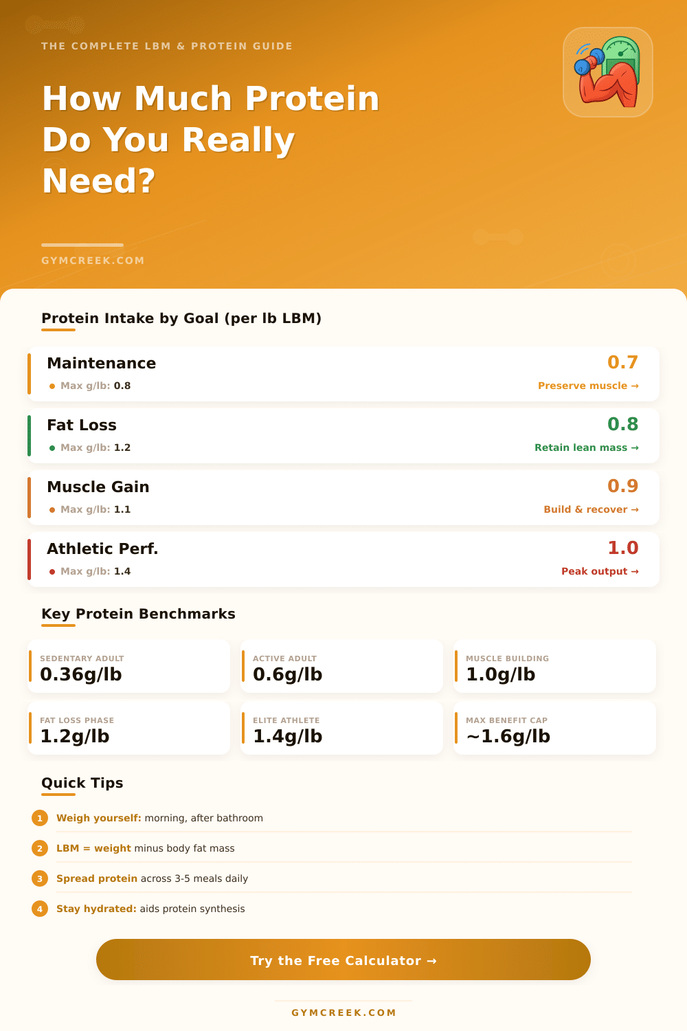 Lean Body Mass & Protein Calculator: Find Your Ideal Intake