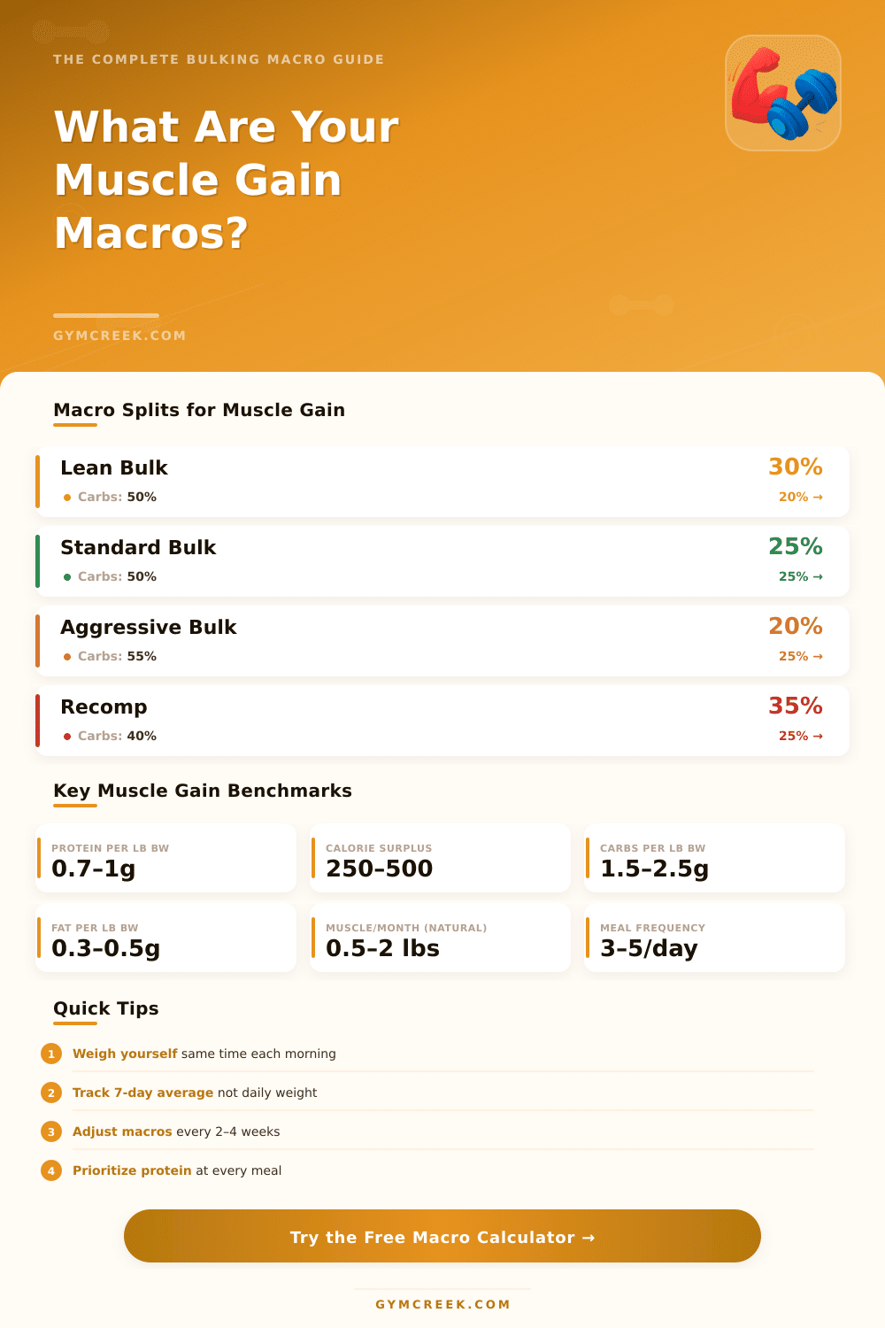 Muscle Gain Macro Calculator: Find Your Ideal Bulking Macros