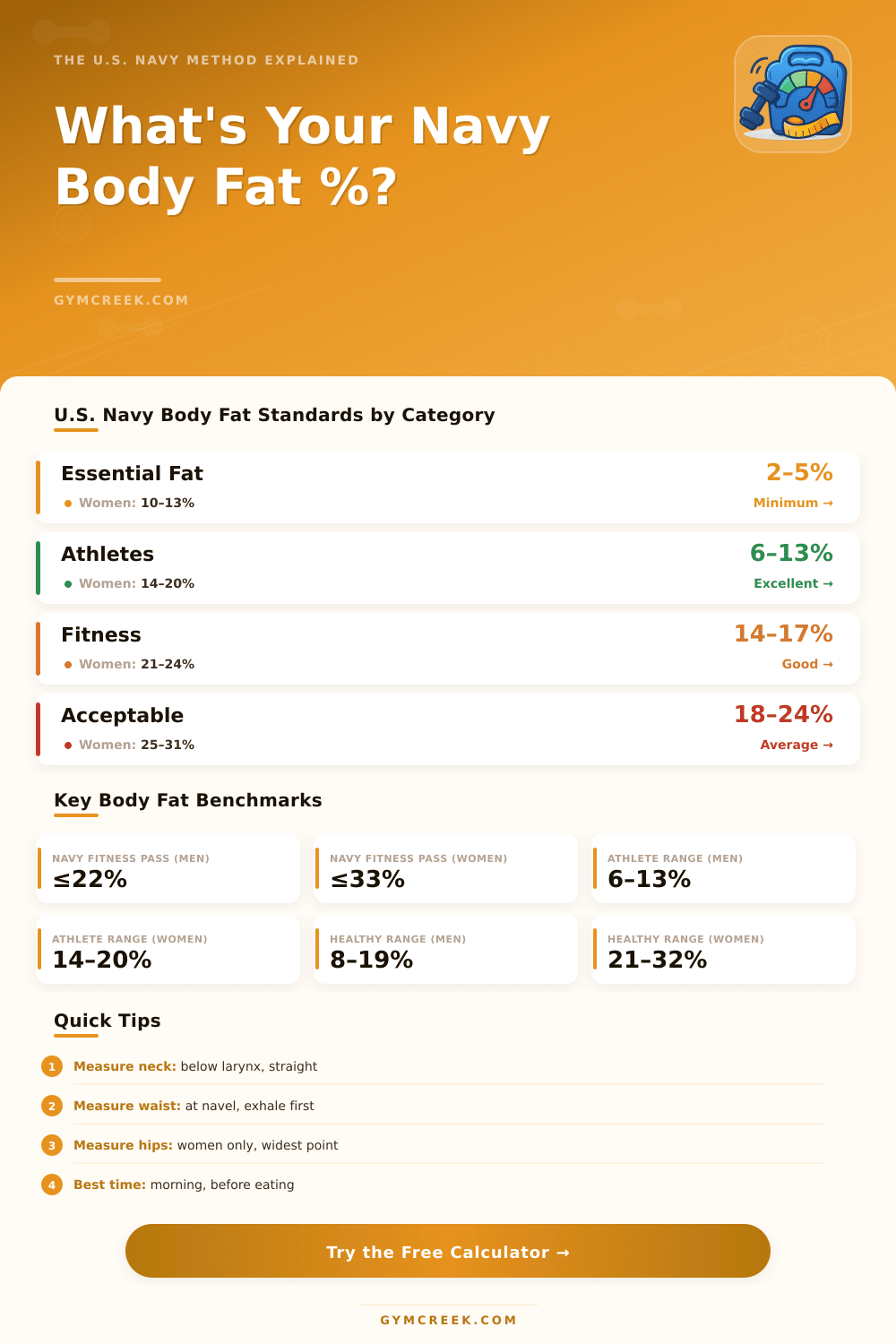 Navy Body Fat Calculator: Find Your Fitness Category