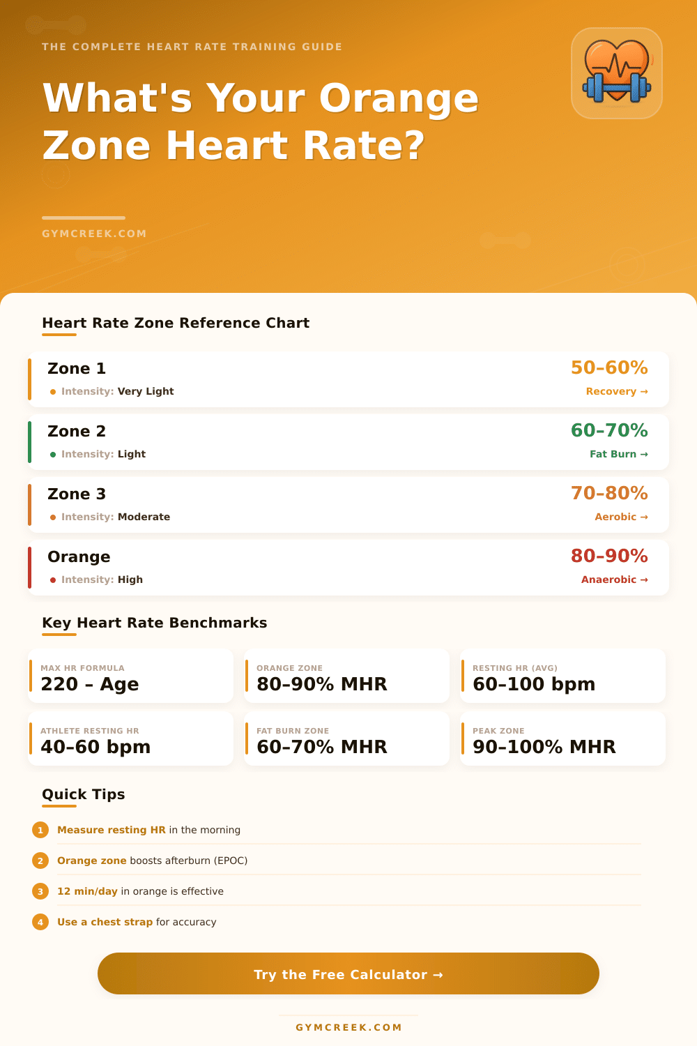 Orange Zone Heart Rate Calculator – Find Your Target Zone
