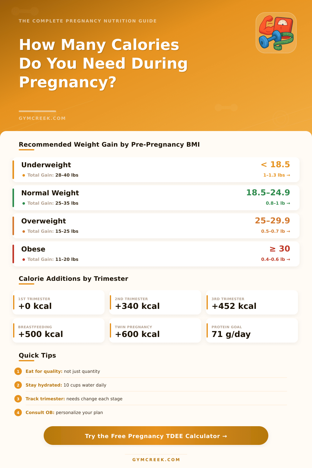 Pregnancy TDEE Calculator: Find Your Daily Calorie Needs