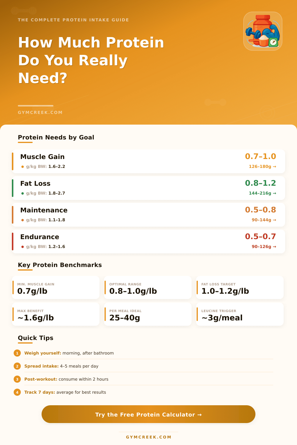 Protein Intake Calculator for Muscle Gain & Fat Loss