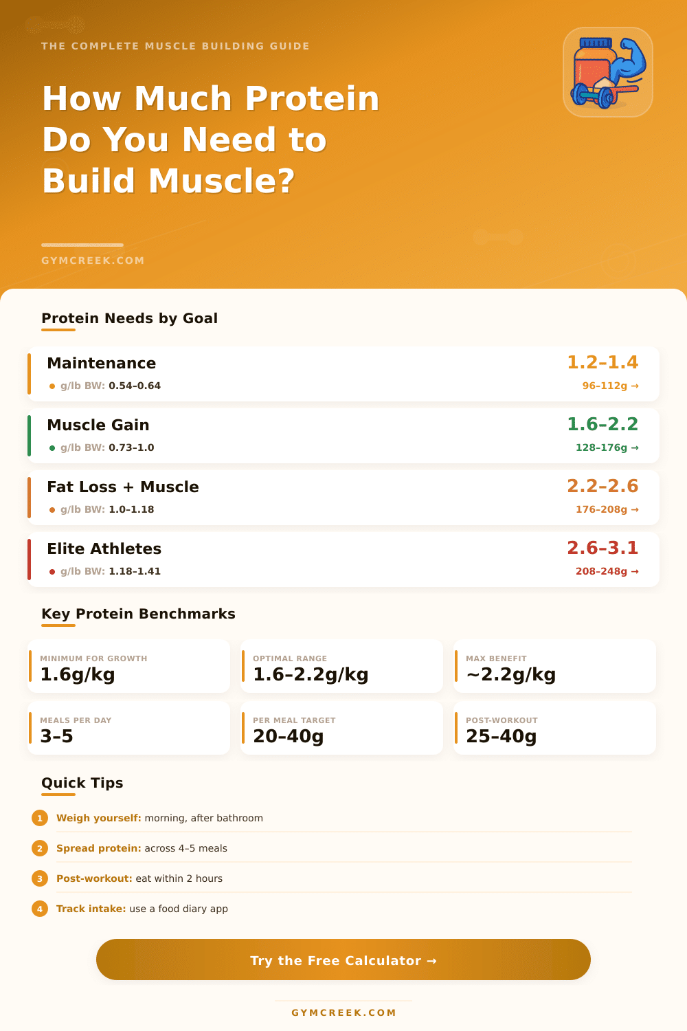Protein Intake Calculator to Build Muscle – Find Your Daily Goal