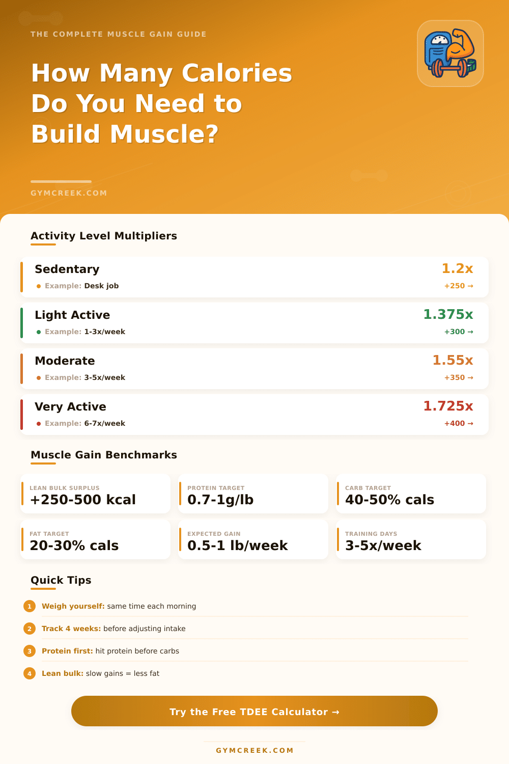 TDEE Calculator for Muscle Gain: Find Your Calorie Surplus