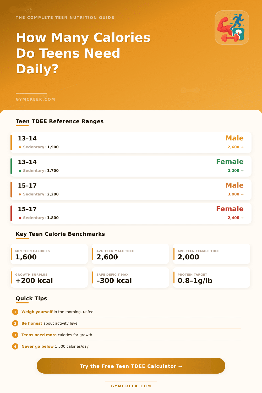 TDEE Calculator for Teens – Find Your Daily Calorie Needs