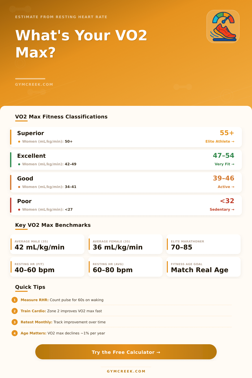 VO2 Max Calculator: Estimate Fitness from Resting Heart Rate