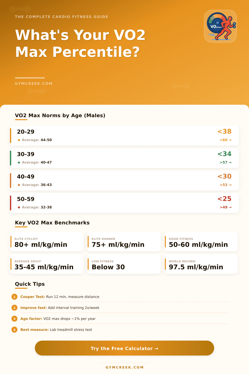 VO2 Max Percentile Calculator: Find Your Fitness Level