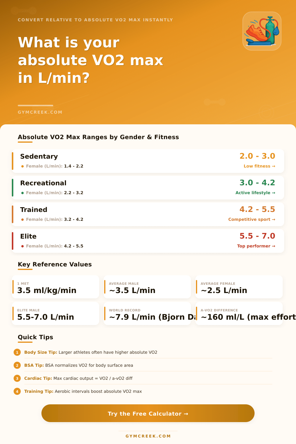 Absolute VO2 Max Calculator | L/min & ml/kg/min