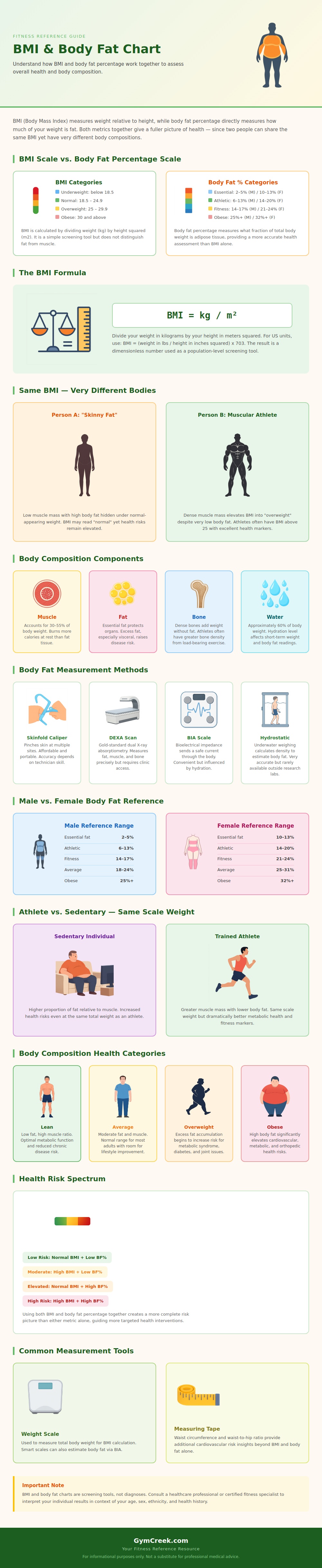 Bmi And Body Fat Chart