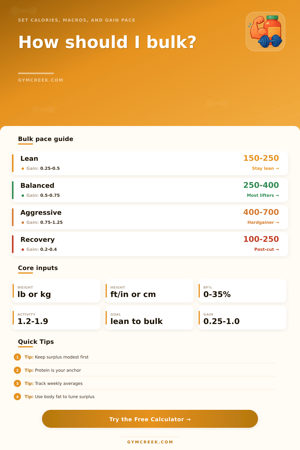 Bulking Calculator for Lean Muscle Gain