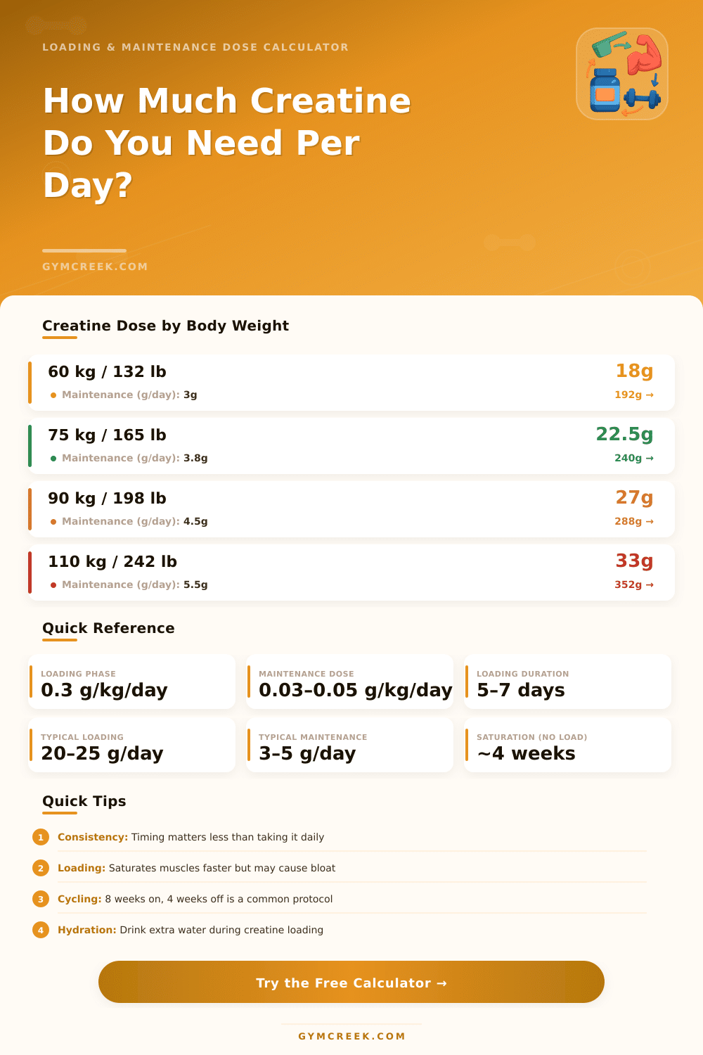 Creatine Cycle Calculator | Dosing & Loading Plan