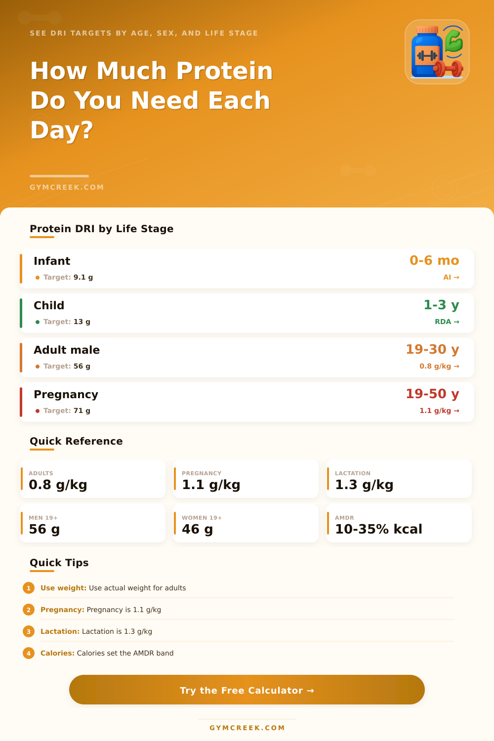 DRI Protein Intake Calculator for Every Life Stage