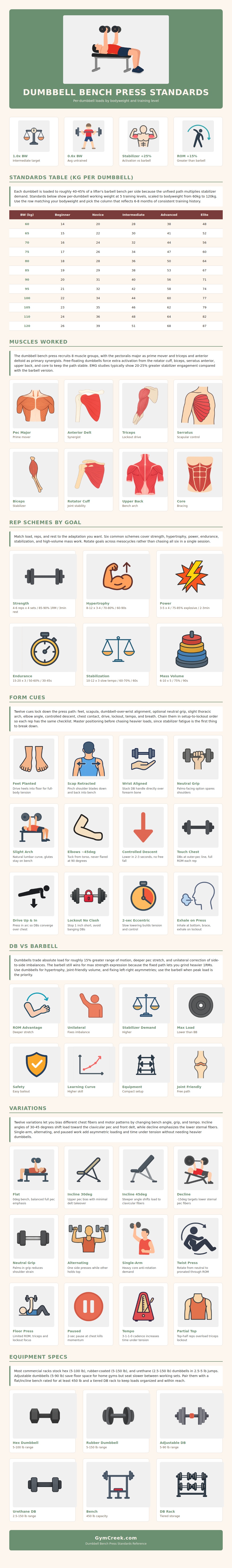Dumbbell Bench Press Standards Chart