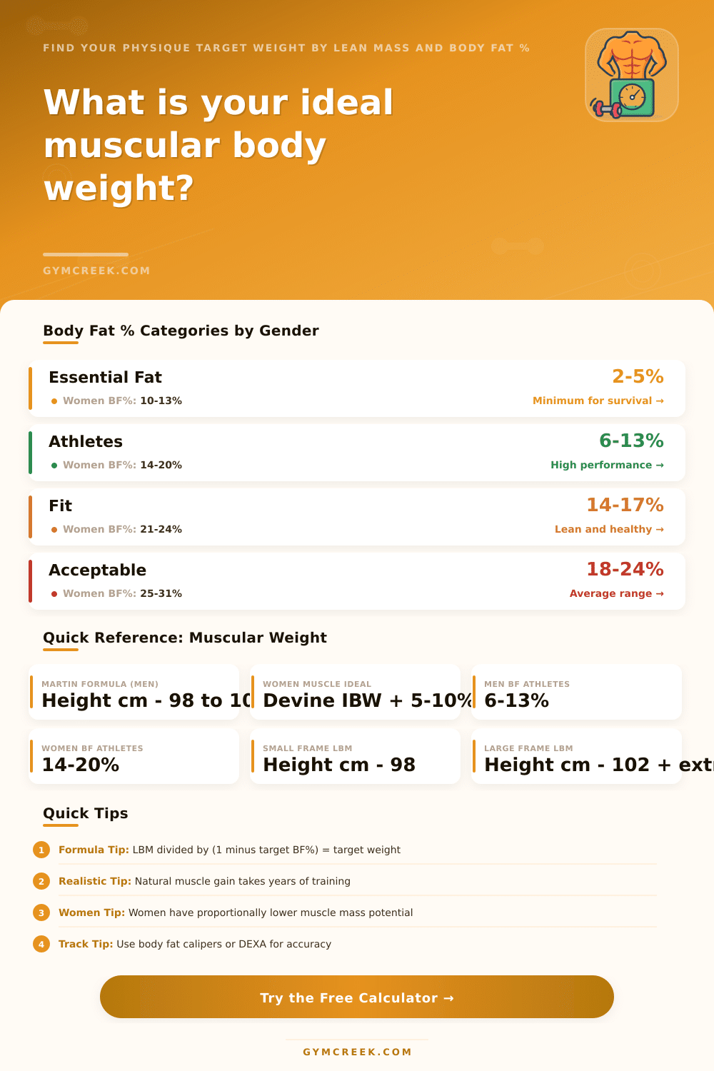 Ideal Muscular Body Weight Calculator