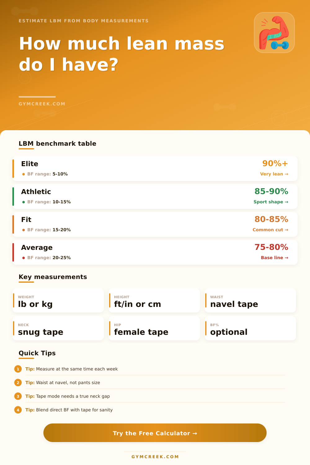 Lean Body Mass Calculator Measurements