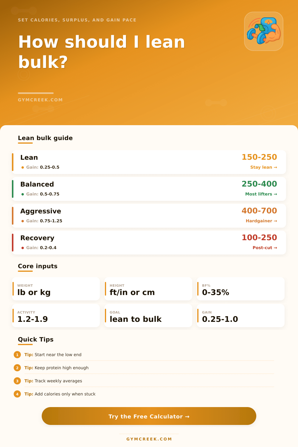 Lean Bulk Calculator for Clean Muscle Gain