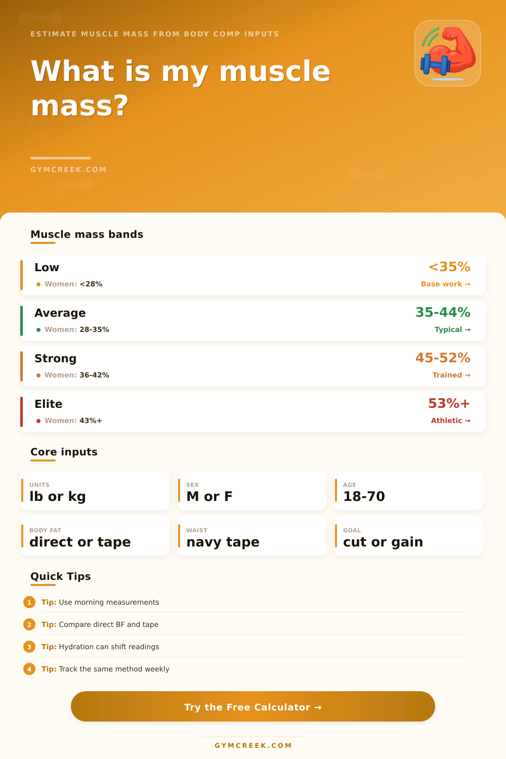 Muscle Mass Calculator