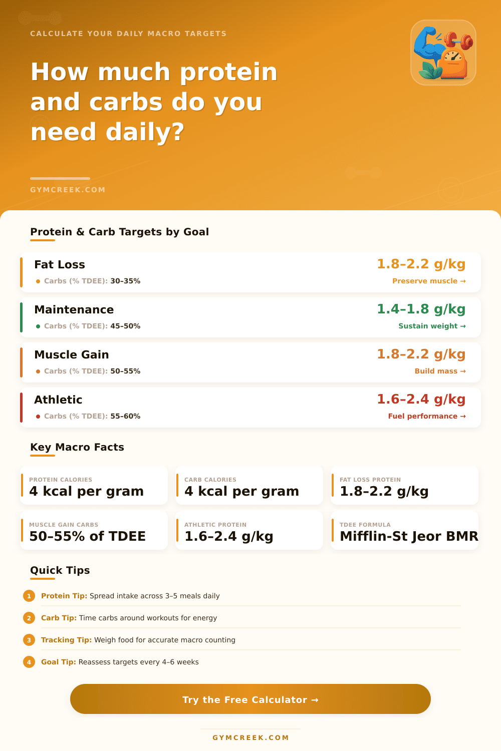 Protein & Carb Intake Calculator | Daily Targets