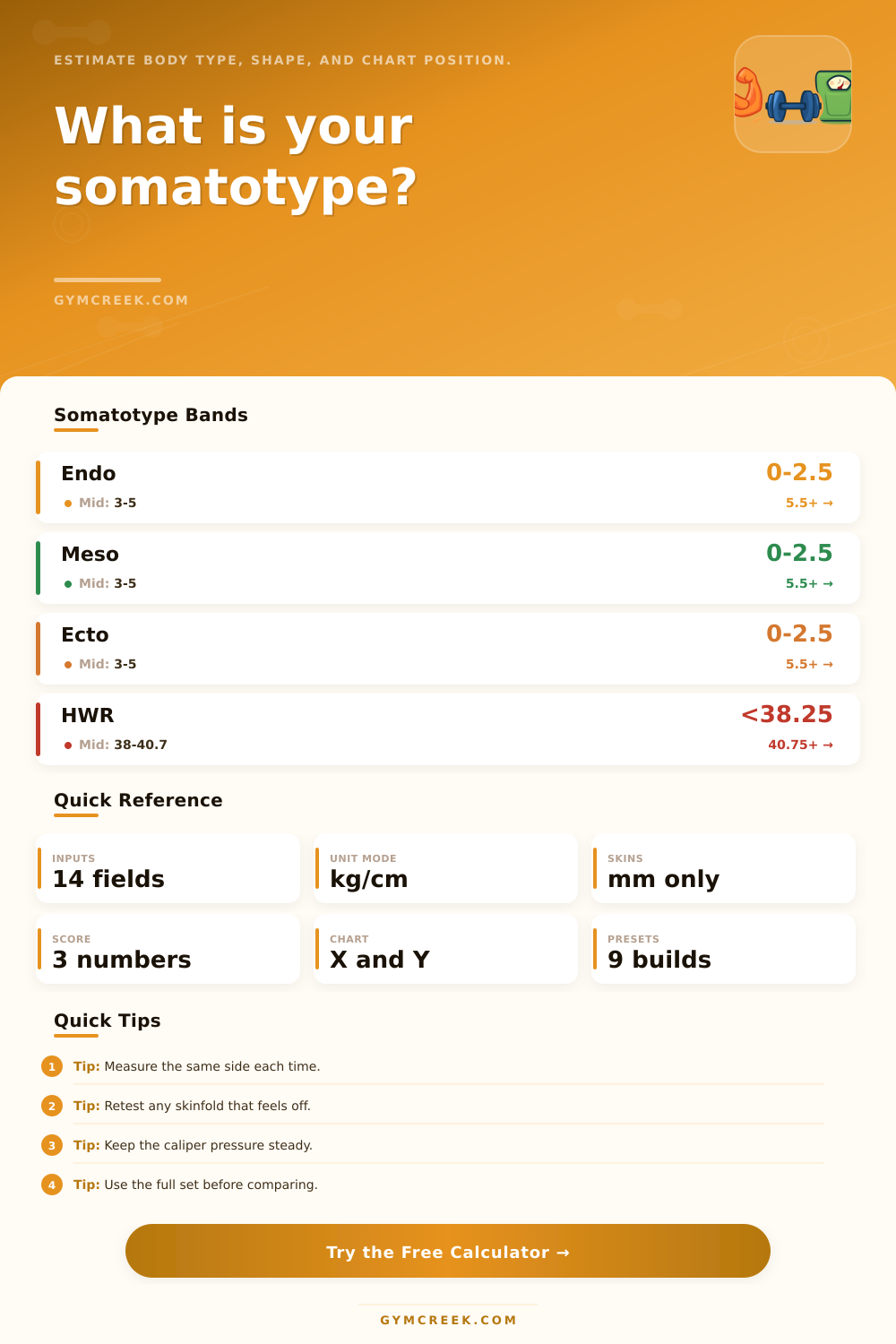 Somatotype Calculator