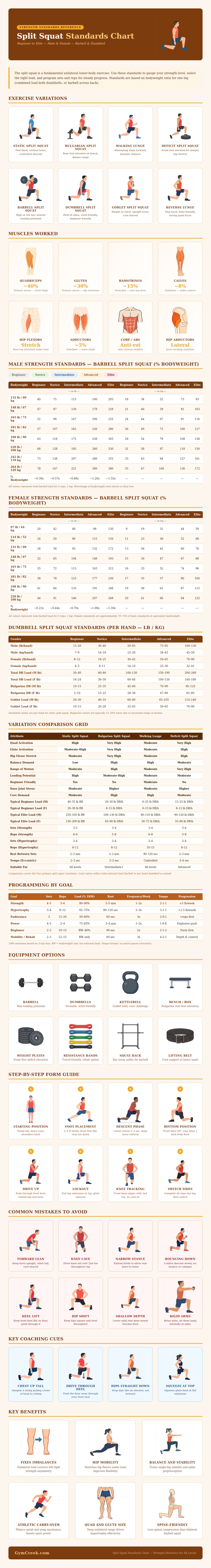 Split Squat Standards Chart