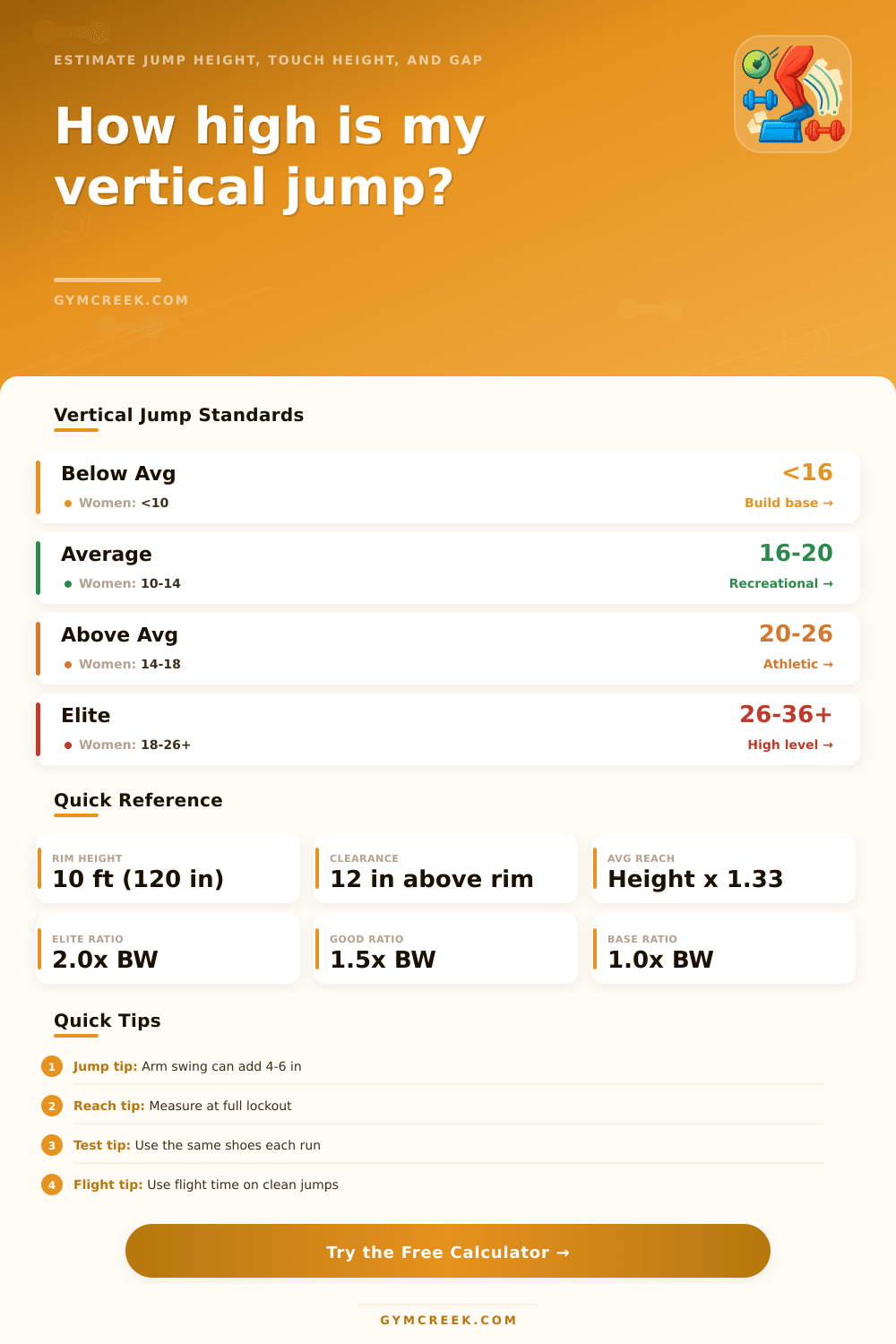 Vertical Jump Calculator – Reach, Touch, and Gap