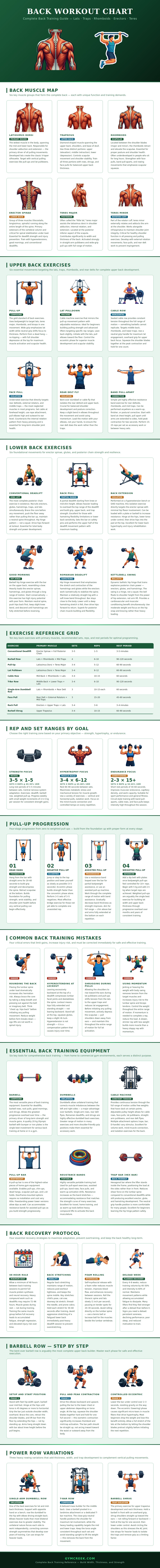 Back Workout Chart