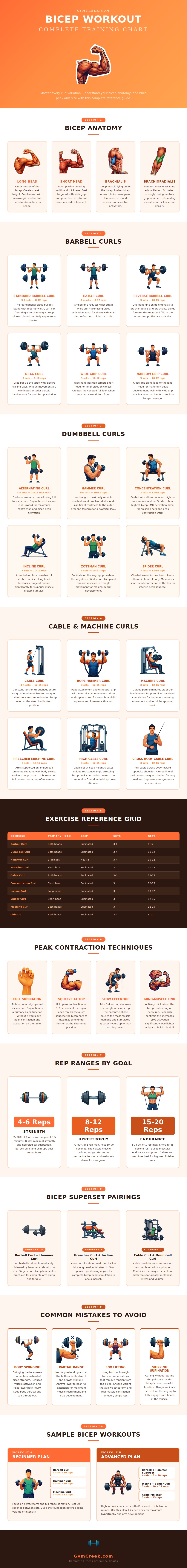 Bicep Workout Chart