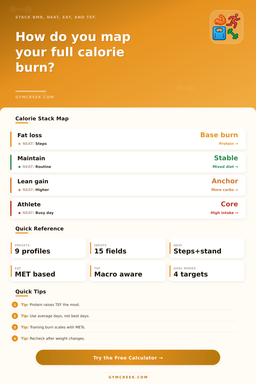 BMR NEAT EAT TEF Calculator