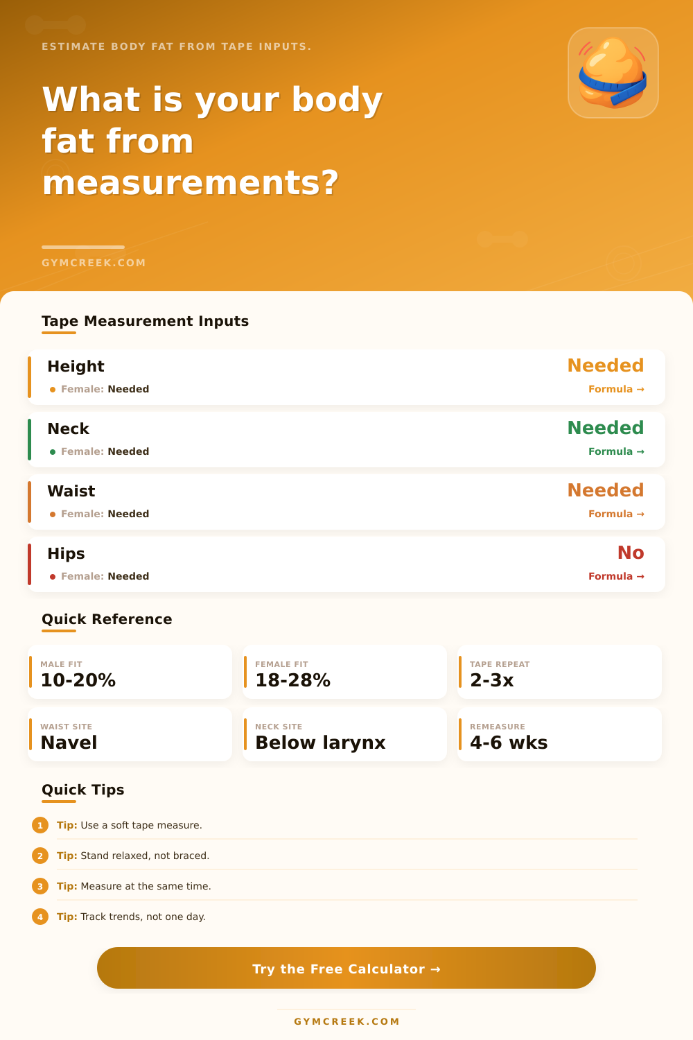Body Fat Calculator From Measurements