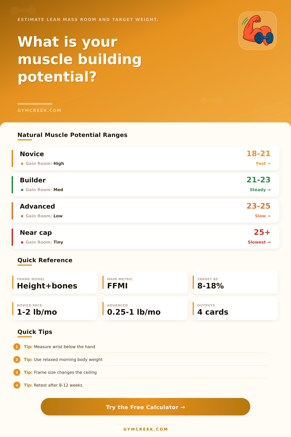 Muscle Building Potential Calculator