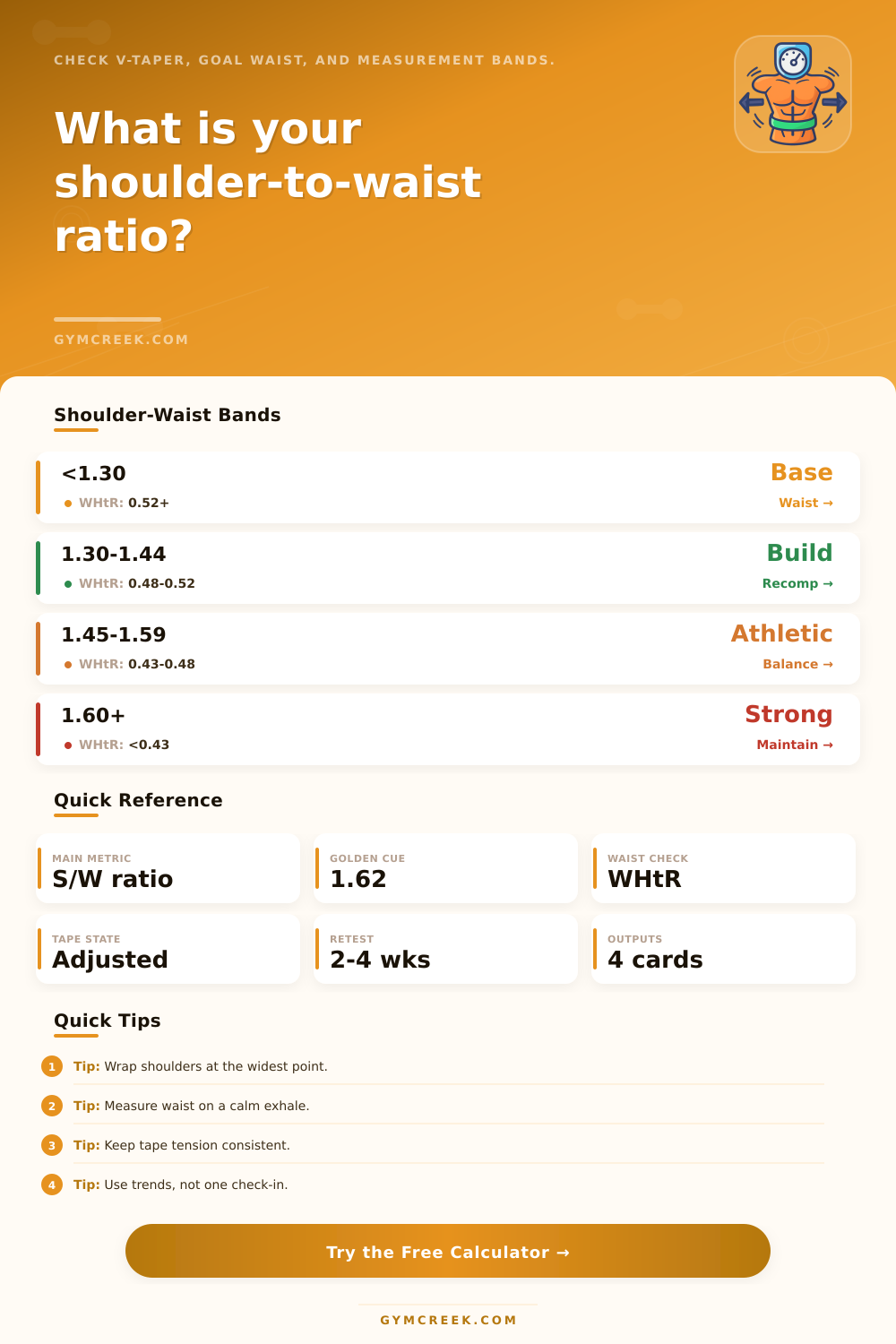 Shoulder-To-Waist Ratio Calculator