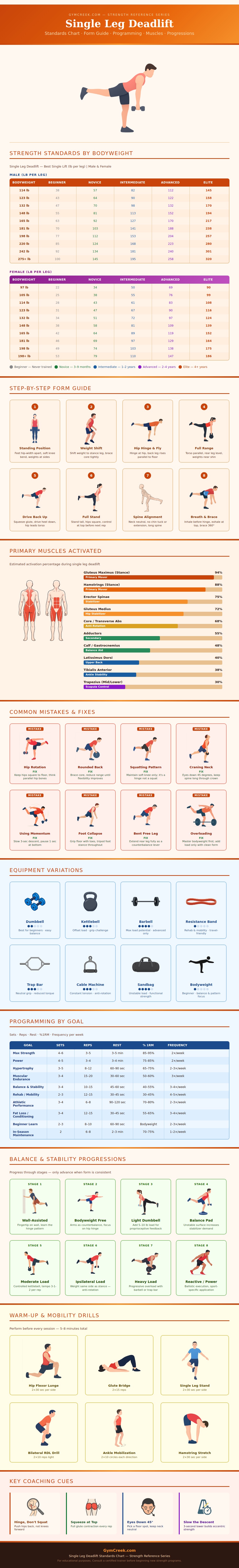 Single Leg Deadlift Standards Chart