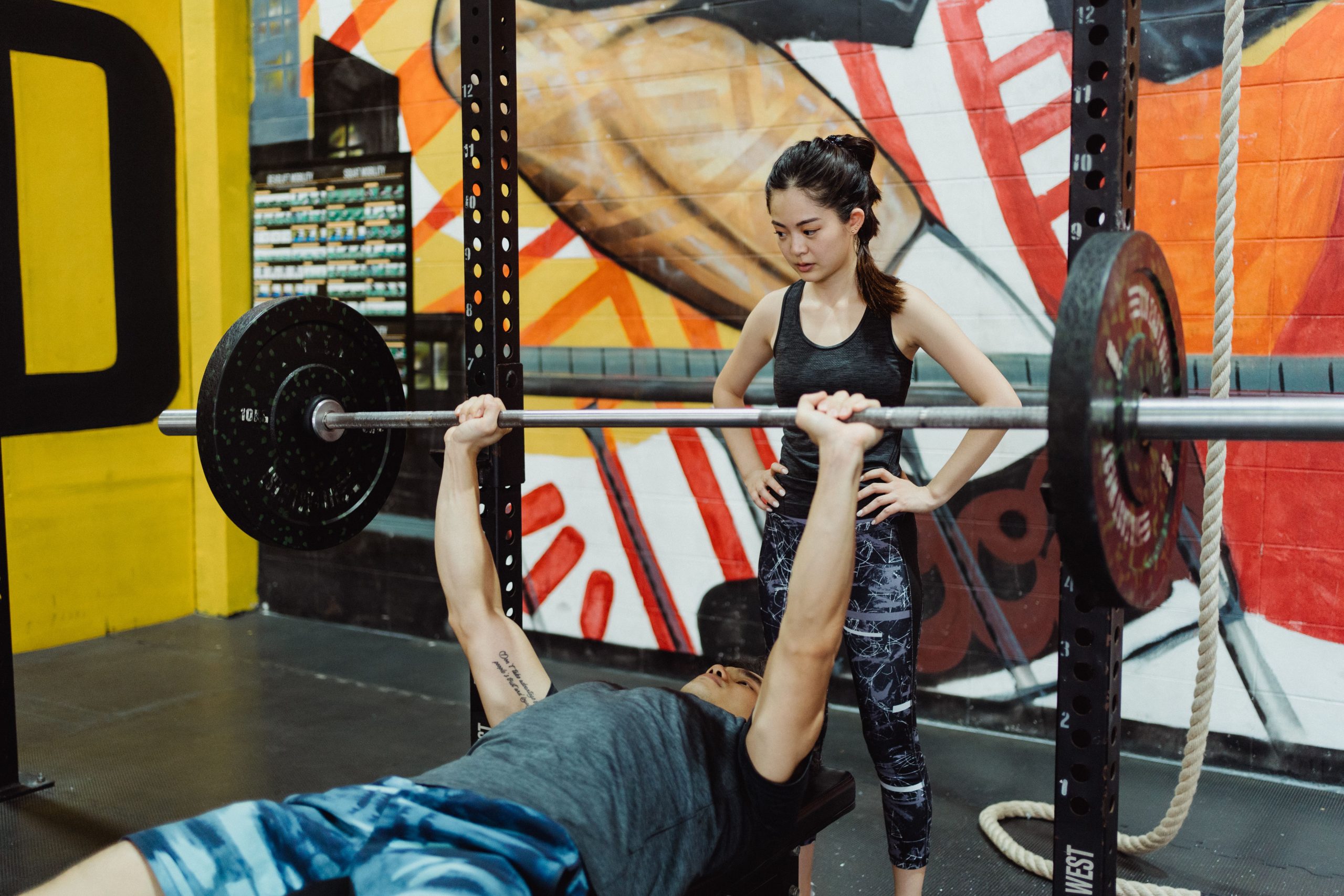 barbell bench press barbell bench press