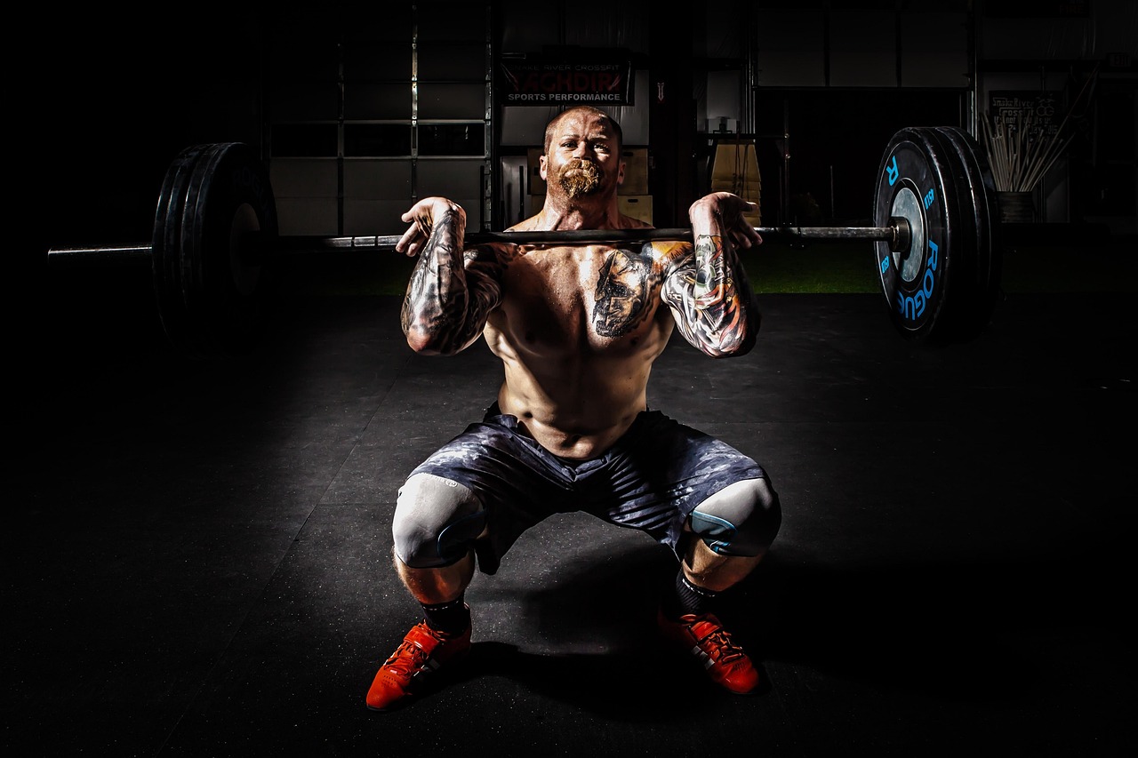 barbell squat gym barbell squat gym