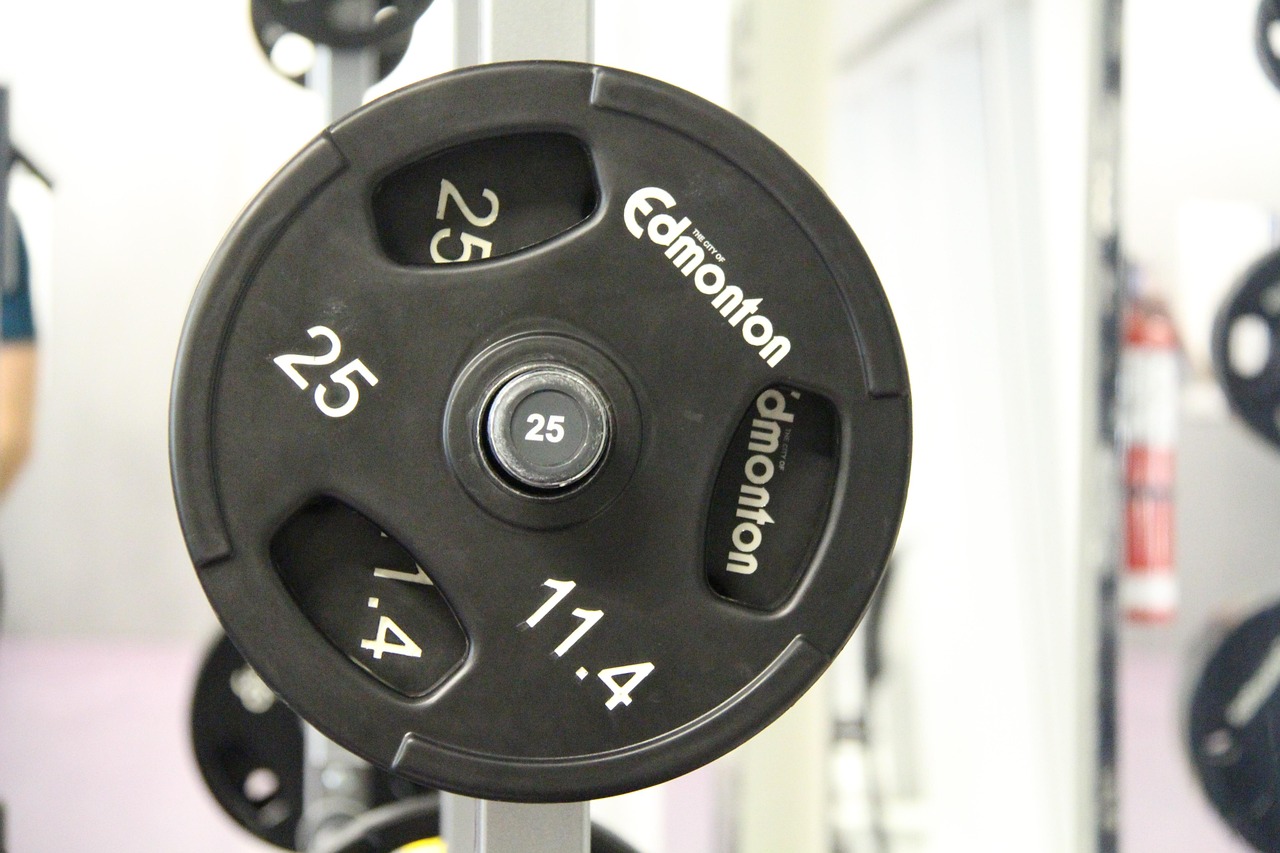 barbell weight plates barbell weight plates