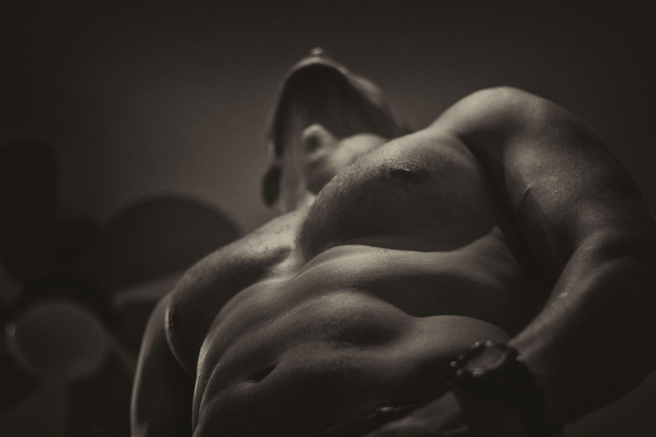 bodybuilder muscular frame bodybuilder muscular frame